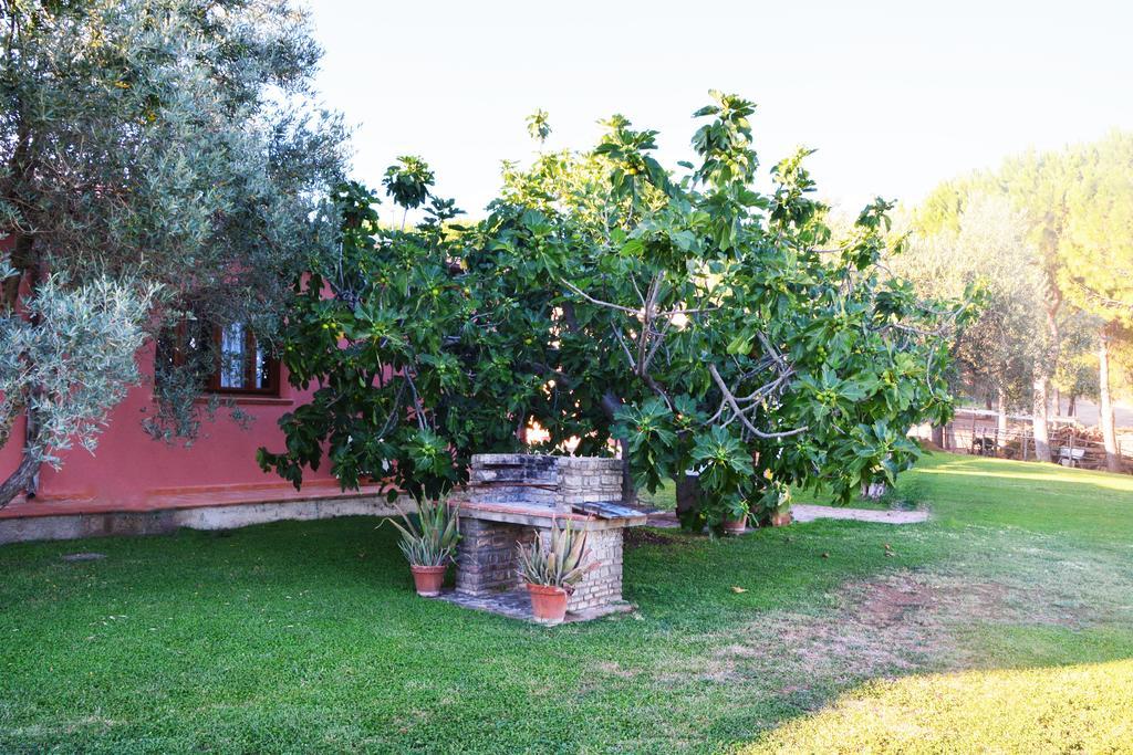מליאנו אין טוסקנה Agriturismo L'Aquilone מראה חיצוני תמונה