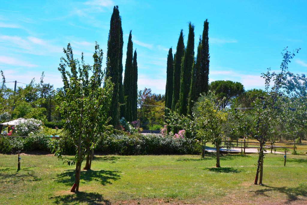 מליאנו אין טוסקנה Agriturismo L'Aquilone מראה חיצוני תמונה