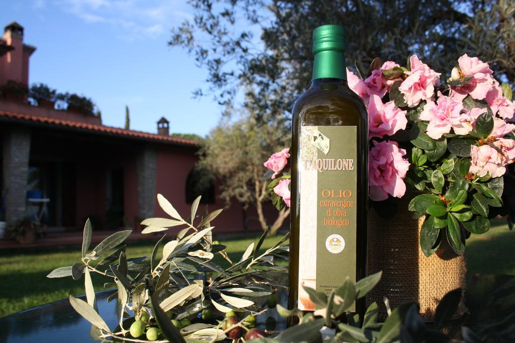מליאנו אין טוסקנה Agriturismo L'Aquilone מראה חיצוני תמונה