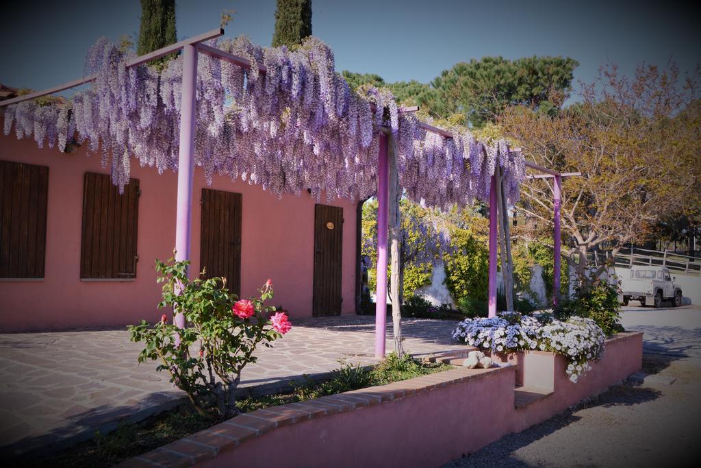 מליאנו אין טוסקנה Agriturismo L'Aquilone מראה חיצוני תמונה